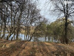 ��������� ������ ��������, ³�����, ³�������, �볺���������� ���� 5