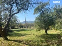 Продається ділянка Вінницька, Вінниця, Сабарів фото 1 Продається ділянка Вінницька, Вінниця, Сабарів фото 1