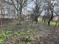 ��������� ������ �������� ������������, ³�����, ³�������, ������ ������� ���� 8