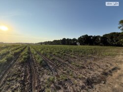 Продається ділянка Вінницька, Вінниця, Тяжилів фото 4 Продається ділянка Вінницька, Вінниця, Тяжилів фото 4