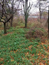 Продається ділянка Вінницька, Вінниця, Бучми, Івана Пулія фото 5 Продається ділянка Вінницька, Вінниця, Бучми, Івана Пулія фото 5