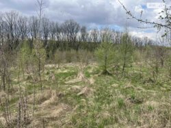 ��������� ������ ���������, ³�����, ³�������, ����� ���� ���� 2