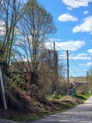 ��������� ������ �����������, ³�����, ³�������, ����� ���� 1