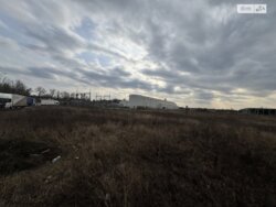 ��������� ������ �����, ³�����, ³�������, ����� ���� 4