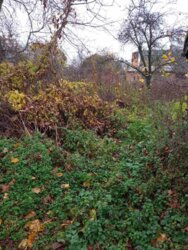 Продається ділянка Вінницька, Вінниця, Бучми, Івана Пулія фото 2 Продається ділянка Вінницька, Вінниця, Бучми, Івана Пулія фото 2