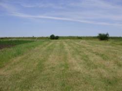 Продам участок в начале Бережинке фото 2 Продам участок в начале Бережинке фото 2