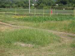 Продам участок в начале Бережинке фото 1 Продам участок в начале Бережинке фото 1