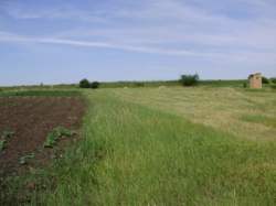 Продам участок в начале Бережинке фото 5 Продам участок в начале Бережинке фото 5