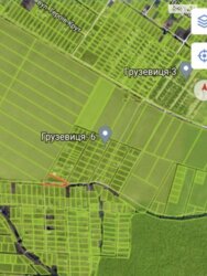 ��������� ������ �����������, ������������, ������� ������ ���� 2