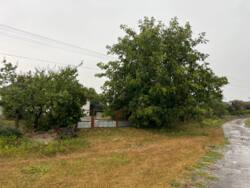 ��������� ������ �����������, ������������, ��������� ���� 11