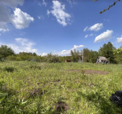 ��������� ������ �����������, ������������, ˺�����, �������� ³������������� ���� 6