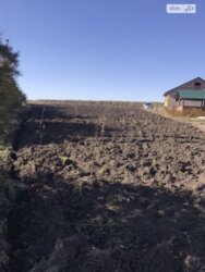 ��������� ������ �����������, ������������, ������� ������ ���� 1