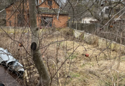 ��������� ������ �����������, ������������, �����, ������� 35/1 ���� 10