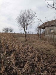 ��������� ������ �����������, ������������, ������ ���� 1