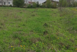 ��������� ������ �����������, ������������, ˺�����, ������ ��������� 24 ���� 2