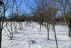 ��������� ������ �����������, ������������, ������, ��������, ������ ������� ����� ���� 4