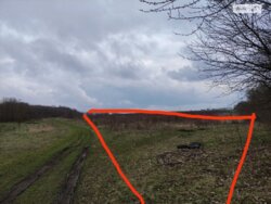 ��������� ������ �����������, ������������, ������� ������� ���� 2