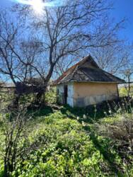 ��������� ������ ���������, ������������, ����������� ���� 5