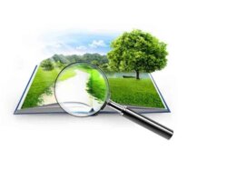 ��������� ������ �����������, ������������, ˳��� �������� ���� 2