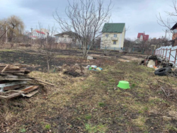 ��������� ������ �����������, ������������, ������, ϳ������ ���� 2