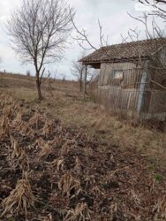 ��������� ������ �����������, ������������, ������ ���� 4