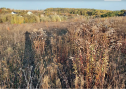 ��������� ������ �����������, ������������, ������� ������ ���� 6