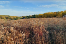 ��������� ������ �����������, ������������, ������� ������ ���� 1