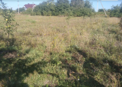 ��������� ������ �����������, ������������, ������, �������� ���� 4