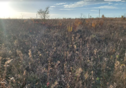 ��������� ������ �����������, ������������, ������� ������ ���� 3