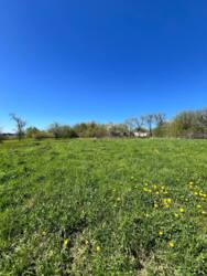 ��������� ������ ���������, ������������, ����������� ���� 6