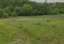 ��������� ������ �����������, ������������, ˺�����, ������ ��������� 24 ���� 4