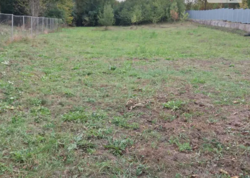 ��������� ������ �����������, ������������, ������, 1-� ����� ��������� ���� 6