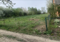 ��������� ������ �����������, ������������, ������� ������, ������� ���� 2