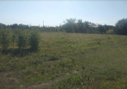 ��������� ������ �����������, ������������, ������, �������� ���� 5