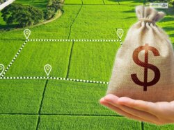 ��������� ������ �����������, ������������, ˳��� �������� ���� 3