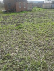 ��������� ������ �����������, ������������, ˺����� ���� 3