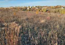 ��������� ������ �����������, ������������, ������� ������ ���� 5