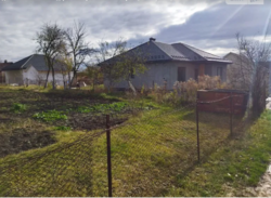 ��������� ������ �����������, ������������, ϳ������-��������, ������� ���� 5