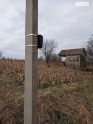 ��������� ������ �����������, ������������, ������ ���� 5