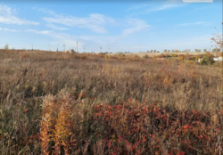 ��������� ������ �����������, ������������, ������� ������ ���� 7