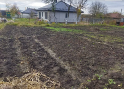 ��������� ������ �����������, ������������, ϳ������-��������, ������� ���� 6