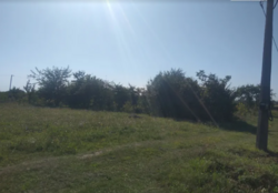 ��������� ������ �����������, ������������, ������, �������� ���� 3