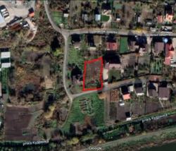 ��������� ������ �����������, ������������, ������, ϳ������ ���� 5