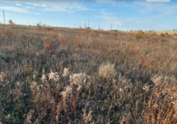 ��������� ������ �����������, ������������, ������� ������ ���� 4