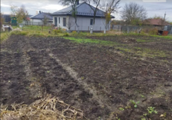 ��������� ������ �����������, ������������, ϳ������-��������, ������� ���� 1