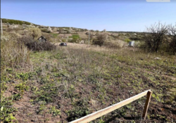 ��������� ������ �����������, ������������, ˺�����, ������ ���� 1