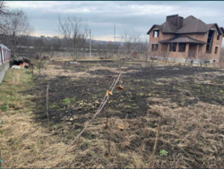 ��������� ������ �����������, ������������, ������, ϳ������ ���� 4