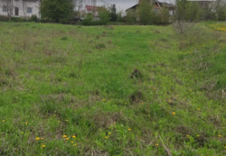 ��������� ������ �����������, ������������, ˺�����, ������ ��������� 24 ���� 1