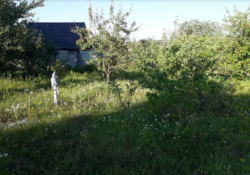 ��������� ������ �����������, ������������, ������, ������ ���� 2