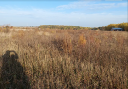 ��������� ������ �����������, ������������, ������� ������ ���� 8